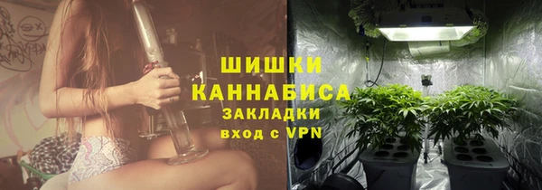 дурь Медвежьегорск