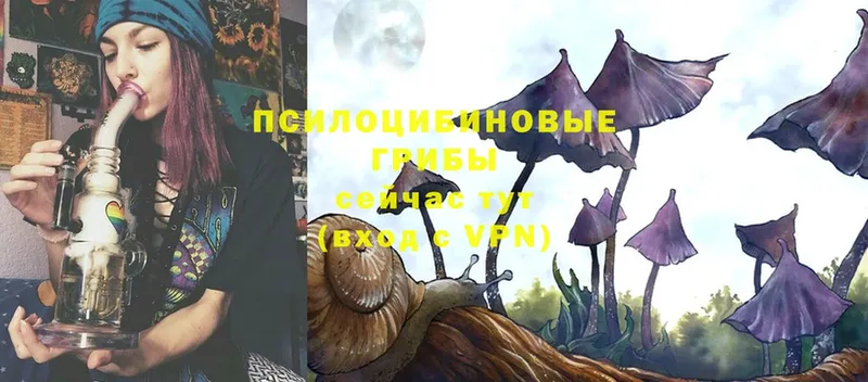 Галлюциногенные грибы Magic Shrooms  Рыбинск 