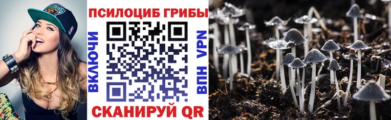Галлюциногенные грибы Psilocybe  Рыбинск 