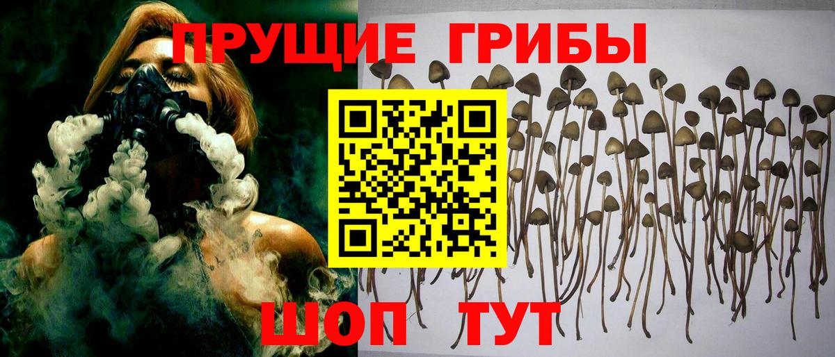 Псилоцибиновые грибы GOLDEN TEACHER  Псилоцибиновые грибы Magic Shrooms  Рыбинск 
