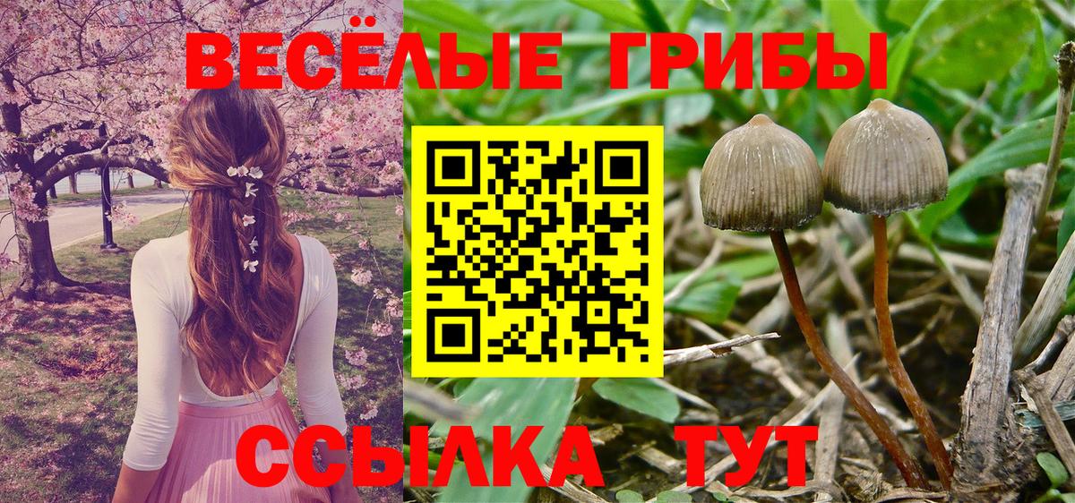 Галлюциногенные грибы Psilocybe  Галлюциногенные грибы мухоморы  где купить наркоту  Рыбинск  Вход с VPN 