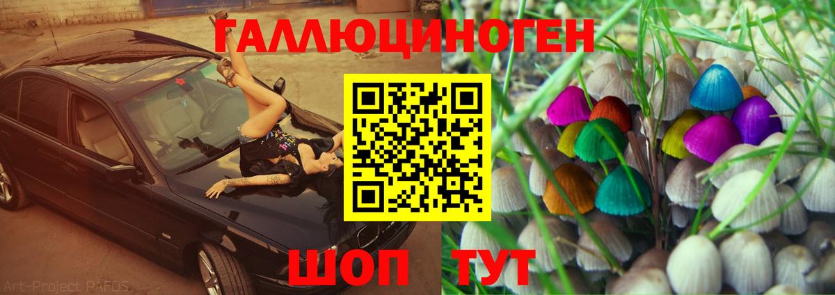 Галлюциногенные грибы Psilocybe Рыбинск