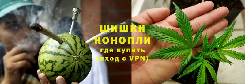 Бошки марихуана THC 21%  Рыбинск 